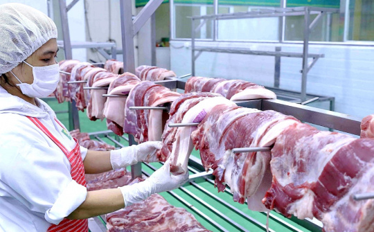 Các mảng kinh doanh cốt lõi tăng tốc, Tập đoàn Dabaco (DBC) báo lãi quý 2 tăng 3,5 lần