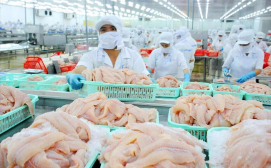 Cwin com sòng bạc trực tuyến thủy sản dự báo tiếp tục tăng, VASEP kiến nghị gỡ khó về thuế GTGT