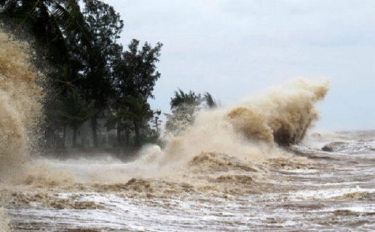 Bộ trưởng Cwin63 sân chơi đỉnh cao: Tăng cường rà soát, sẵn sàng ứng phó với áp thấp nhiệt đới/bão trên biển Đông