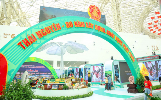 Thái Nguyên hoà nhịp cùng ngày hội lớn của Link vào Cwin Cá Cược Thể Thao 2026