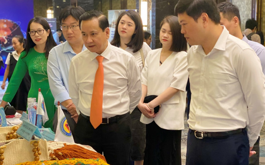 Hải Phòng "bơm" mạnh vốn khuyến công: Hỗ trợ tới 5 tỷ đồng/cụm Cwin là sân chơi cá cược trực tuyến tại Việt Nam