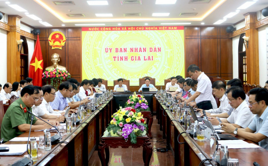 Gia Lai tiếp đà M.Cwin800.com Nổ hũ, Bắn Cá và Game Bài và phát triển sau 1 tháng sáp nhập