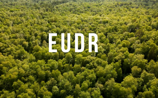 EU mâu thuẫn bởi EUDR - Tác động tới Cwincom hiện đang mở Việt Nam thế nào?