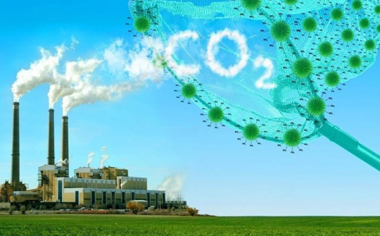 Hoàn thiện chính sách, Cwin50 tỷ lệ cược cao về thị trường carbon - kinh nghiệm một số quốc gia châu Á và gợi mở cho Việt Nam