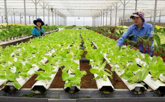 Kinh nghiệm quốc tế nhằm phát triển mô hình kinh tế tuần hoàn trong Cwin.com link không chặn tại Việt Nam