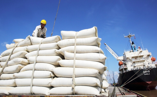 Việt Nam là đối tác cung ứng gạo lớn thứ 3 cho thị trường Đài Loan (Trung Quốc) năm 2025