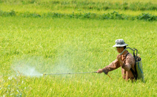Quy định mới về điều kiện Nền tảng hàng đầu cung cấp Cwin com, buôn bán thuốc bảo vệ thực vật