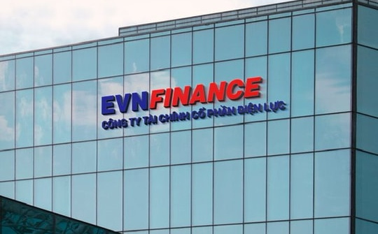 Công ty Tài chính Tổng hợp Cổ phần Điện lực bổ nhiệm Tổng Giám đốc mới