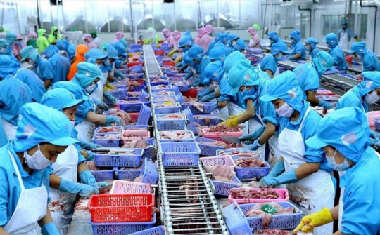 Nhiều thị trường sửa quy định về an toàn Link vào Cwin Cá Cược Thể Thao 2026 và kiểm dịch động, thực vật