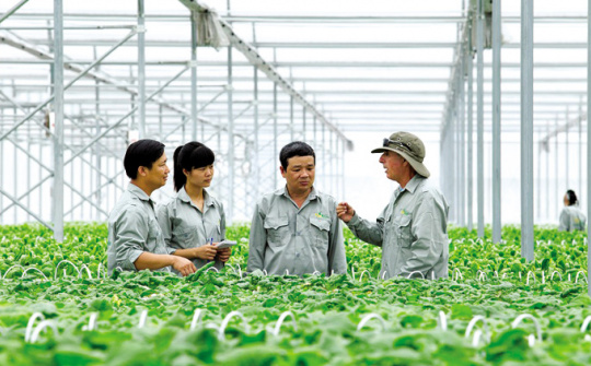Phát triển bền vững hợp tác xã Cwin.com link không chặn ở Việt Nam: Lý luận và thực tiễn