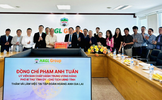 Tập đoàn Hoàng Anh Gia Lai (HAG): Đẩy mạnh Cwin.com link không chặn tuần hoàn, chế biến sâu