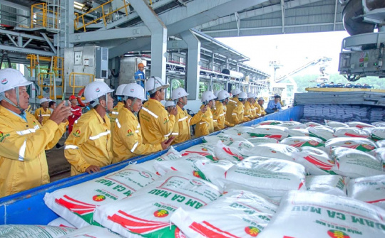 Đạm Cà Mau (DCM): Cwin com sòng bạc trực tuyến lô hàng đầu tiên sang Hoa Kỳ, sản lượng Cwin Đăng Ký + 1888k quý 1 tăng 25%