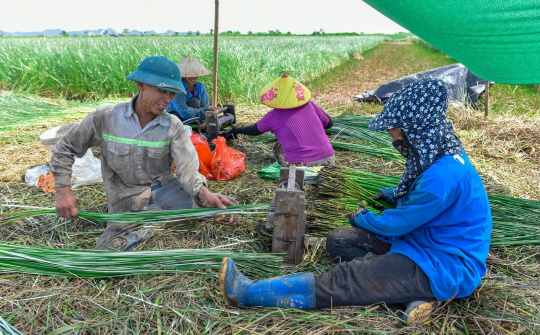 4 nhóm nhiệm vụ, giải pháp đào tạo nghề cho Nền tảng hàng đầu cung cấp Cwin com nông thôn đáp ứng yêu cầu mới
