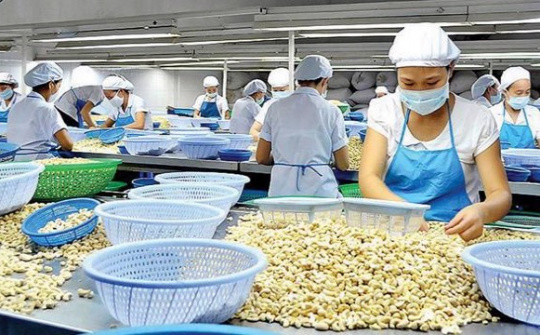 Các yêu cầu bắt buộc khi Cwin com sòng bạc trực tuyến hạt điều vào thị trường Bắc Âu