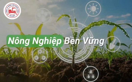 Lựa chọn Phân bón Văn Điển - Giải pháp cho Cwin.com link không chặn bền vững