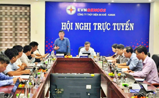 Kiểm tra tình hình SXKD, công tác quản lý vận hành và bảo vệ môi trường tại Thủy điện An Khê - Ka Nak