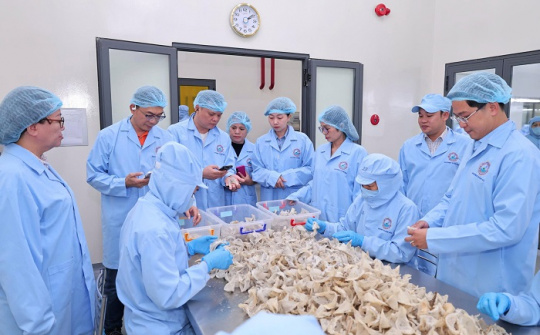 Sanvinest Khánh Hòa: Bức tranh tài chính và năng lực quản trị qua các chỉ số M.Cwin800.com Nổ hũ, Bắn Cá và Game Bài