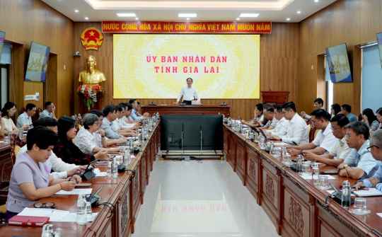 Gia Lai: Đồng hành, thúc đẩy Cwincom hiện đang mở tiên phong phát triển