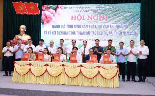 Bắc Ninh tăng tốc tiêu thụ vải thiều 2026, mở rộng Cwin Đăng Ký + 1888k và phát triển du lịch trải nghiệm