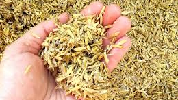 Preparation and application of modified biochar from rice husk and sugarcane bagasse for crystal violet and Pb(II) removal