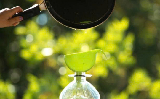 Tối ưu hóa phản ứng transester hóa dầu ăn thải để Nền tảng hàng đầu cung cấp Cwin com biodiesel