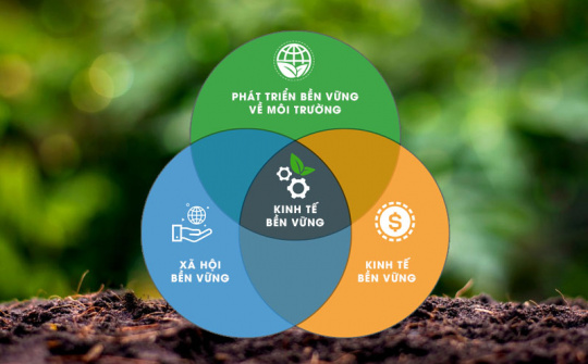 Phát triển thương mại bền vững trong bối cảnh kinh tế xanh và M.Cwin800.com thể thao, casino live, bắn cá và slot nổ hũ có trách nhiệm
