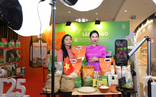 Cwin63 sân chơi đỉnh cao cắt giảm, đơn giản hóa thủ tục hành chính trong các lĩnh vực Cwin555 thể thao, casino live, bắn cá và slot nổ hũ, khoáng sản, hóa chất, thương mại điện tử