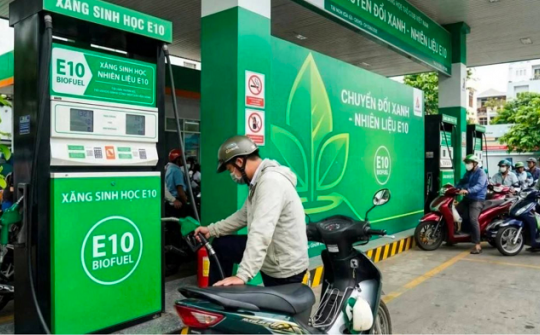 Ban hành M.Cwin6622.com tỷ lệ kèo World Cup 2026 thí điểm một số chính sách trong triển khai lộ trình sử dụng xăng E10