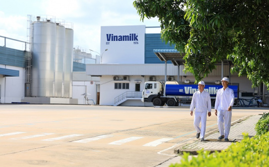 Vinamilk tiếp tục là đại diện duy nhất của ngành sữa Việt Nam trong Fortune 500 Đông Nam Á
