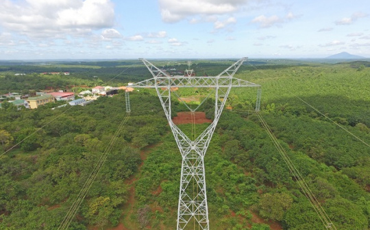 Truyền tải điện Thành phố Hồ Chí Minh 2: Nỗ lực giữ vững hành lang an toàn tuyến 500kV Bắc - Nam lịch sử