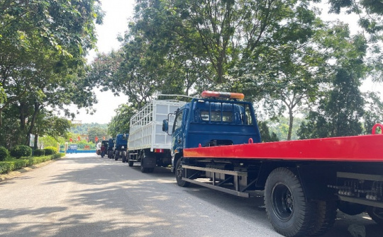 VEAM MOTOR đấu giá 387 xe tải, xe khách và xe chuyên dùng