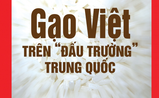 CWIN ✅ Nhà cái cờ bạc trực tuyến tốt nhất và Thương hiệu uy tín số 16/2015