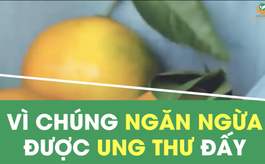 04 phần bỏ đi của Link vào Cwin Cá Cược Thể Thao 2026 có tác dụng ngăn ngừa ung thư 