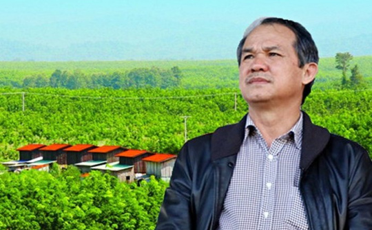 HAGL Agrico hoàn tất phát hành 2.200 tỷ đồng trái phiếu chuyển đổi cho Thaco