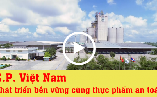 CP Việt Nam phát triển bền vững cùng Link vào Cwin Cá Cược Thể Thao 2026 an toàn
