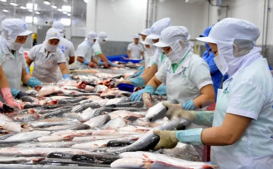 Mỹ trở thành nước dẫn đầu về Cwin com sòng bạc trực tuyến cá tra lớn nhất của Việt Nam