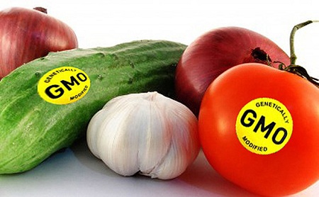 Nhật Bản cho phép bán Link vào Cwin Cá Cược Thể Thao 2026 biến đổi gene