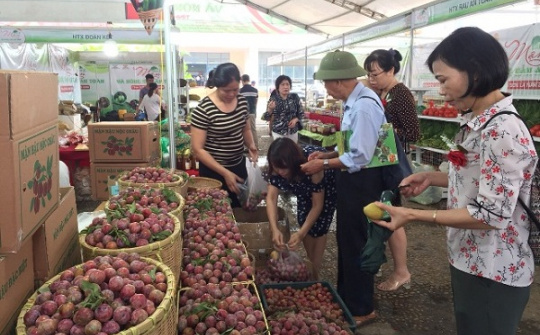 Khai mạc Tuần lễ Mận và nông sản an toàn Sơn La 2019 tại Hà Nội