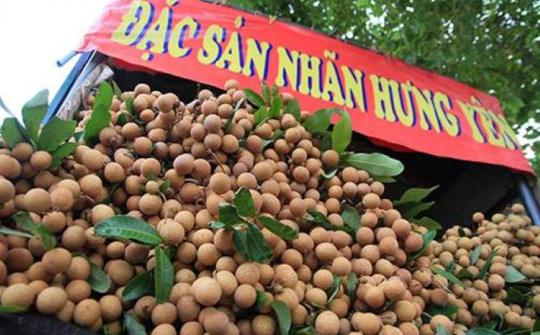 Sắp diễn ra Nhà cái cá cược cá độ uy tín Nổ hũ, Bắn Cá và Game Bài Cwin.com Công Thương vùng Đồng bằng Sông Hồng - Hưng Yên năm 2022