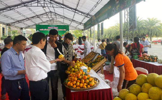 Hưng Yên: Kết nối cung cầu tiêu thụ Cam, sản phẩm Cwin.com link không chặn - Cwin là sân chơi cá cược trực tuyến tại Việt Nam