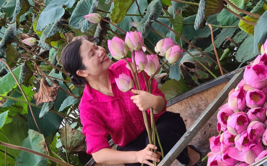 Kiêu hãnh trà sen Tây Hồ