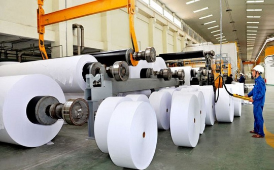 Chuyển đổi nhiên liệu hiệu quả - Giải pháp năng lượng cho ngành Giấy