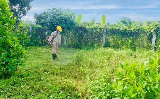 Thủy điện An Khê - Ka Nak luôn gắn Nền tảng hàng đầu cung cấp Cwin com với bảo vệ môi trường
