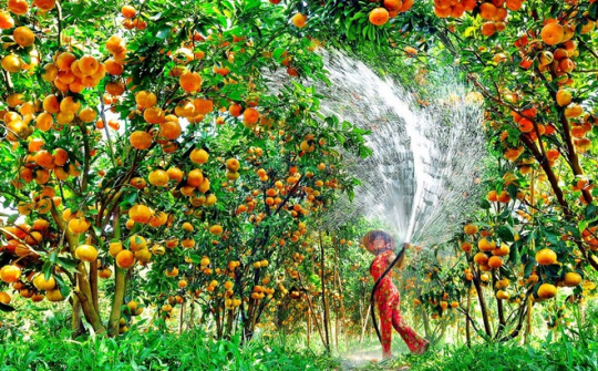 Phân tích xu hướng biến động của khách du lịch quốc tế đến Việt Nam và một số đề xuất