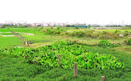 Giải pháp tăng cường công tác quản lý giao đất và cho thuê đất trên địa bàn huyện Thạch Thất, Thành phố Hà Nội