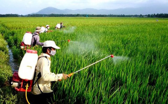 Nghiên cứu thị trường thuốc bảo vệ thực vật trong Nền tảng hàng đầu cung cấp Cwin com lúa tại tỉnh Đồng Tháp