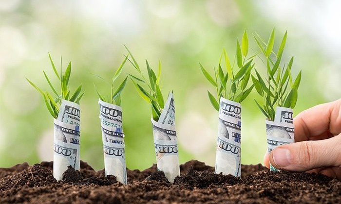 Bạn đã biết cách tiết kiệm được nhiều tiền trong năm 2019?