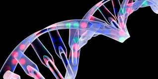 Chỉnh sửa gene để tiêu diệt tế bào ung thư