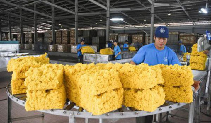 11 tháng, Cwin Đăng Ký + 1888k cao su mang về hơn 2 tỷ USD