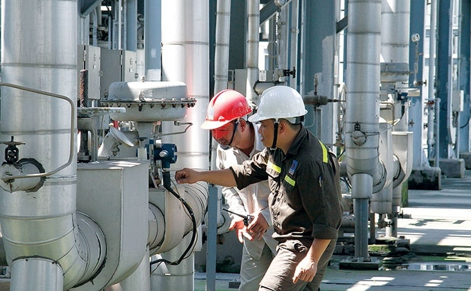 Vượt qua nỗi lo lỗ lũy kế, Cwincom hiện đang mở Đài Loan hợp tác cùng Xơ sợi Đình Vũ vận hành toàn bộ Nhà máy